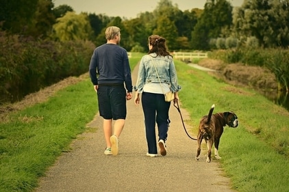 Some of zone 1 cardio exercises are walking on a treadmill at a comfortable pace, taking your dog for a walk, slow walking, and cycling. (Pixabay) Some of zone 1 cardio exercises are walking on a treadmill at a comfortable pace, taking your dog for a walk, slow walking, and cycling. (Pixabay)