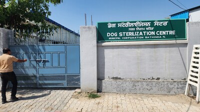 A view of dog sterilisation centre in Bathinda. (Sanjeev Kumar / HT) A view of dog sterilisation centre in Bathinda. (Sanjeev Kumar / HT)