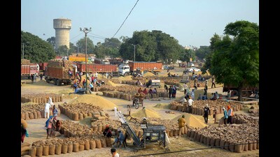 Punjab has a storage capacity of nearly 212 lakh tonnes, of which nearly 80% is occupied by wheat, paddy and rice procured in the previous seasons. (PTI File)