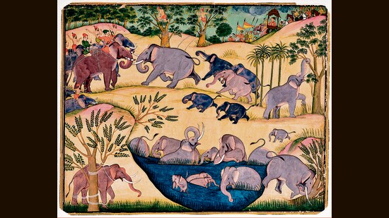 A 1695 painting of an elephant hunt in Bikaner. A 1695 painting of an elephant hunt in Bikaner.