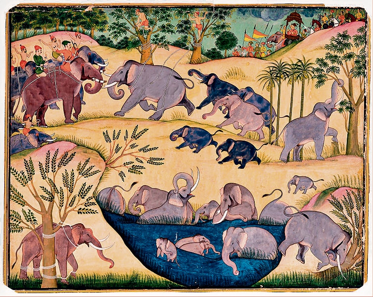 A 1695 painting of an elephant hunt in Bikaner. A 1695 painting of an elephant hunt in Bikaner.