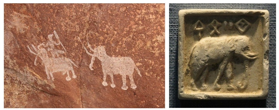 Two elephants and a human rider in ancient cave art at Bhimbetka; and a Harappan-era mould for a seal. Two elephants and a human rider in ancient cave art at Bhimbetka; and a Harappan-era mould for a seal.