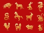 Read your weekly Chinese horoscope from October 7-13 based on your Chinese zodiac sign.
