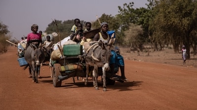 People with their belongings piled on a makeshift trailer pulled by two donkeys flee their villages amid a terror attack in Burkina Faso. (AFP) People with their belongings piled on a makeshift trailer pulled by two donkeys flee their villages amid a terror attack in Burkina Faso. (AFP)