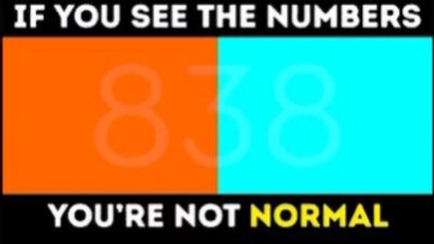 A brain teaser on Instagram challenged users to find a hidden number. (Instagram/@br4inteaserhub)