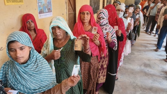 People wait in queues at a polling station to cast votes for Haryana Assembly elections, in Faridabad (PTI)