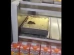 Rats were spotted munching on sweets at a Delhi shop, raising serious food safety concerns.
