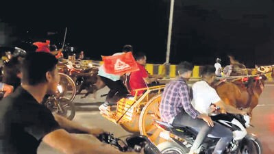 Three men arrested for organising horse-cart race on Mum-Ahm highway Three men arrested for organising horse-cart race on Mum-Ahm highway