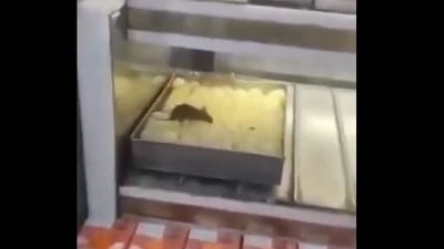 Rats were spotted munching on sweets at a Delhi shop, raising serious food safety concerns. (X/@AmitBat83705390)