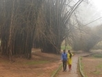 Cubbon park (File pic)