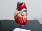Researchers uncover mechanism behind SK2 channel regulation in AFib. Researchers uncover mechanism behind SK2 channel regulation in AFib.