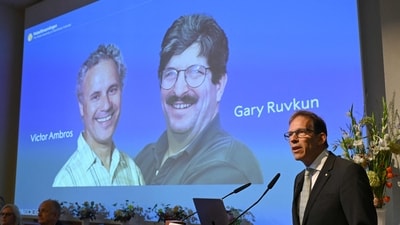 Nobel Committee secretary general Thomas Perlmann speaks to the media in front of a picture of this year's laureates Victor Ambros and Gary Ruvkum during the announcement of the winners of the 2024 Nobel Prize in Physiology or Medicine at the Karolinska Institute in Stockholm on October 7, 2024. (Jonathan NACKSTRAND / AFP) Nobel Committee secretary general Thomas Perlmann speaks to the media in front of a picture of this year's laureates Victor Ambros and Gary Ruvkum during the announcement of the winners of the 2024 Nobel Prize in Physiology or Medicine at the Karolinska Institute in Stockholm on October 7, 2024. (Jonathan NACKSTRAND / AFP)