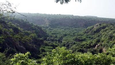 The National Green Tribunal (NGT) has sought a response from authorities, including the environment ministry, in a matter regarding the alleged auctioning of a portion of the protected Aravalli forest in Haryana. (HT File) The National Green Tribunal (NGT) has sought a response from authorities, including the environment ministry, in a matter regarding the alleged auctioning of a portion of the protected Aravalli forest in Haryana. (HT File)