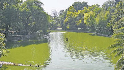 The lake at Lodhi Garden, in New Delhi. (Vipin Kumar/HT PHOTO) The lake at Lodhi Garden, in New Delhi. (Vipin Kumar/HT PHOTO)