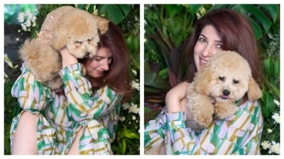 Even Twinkle Khanna can't get over the cuteness of her family dog – Mr Jeeves. The actor-turned-author keeps sharing pictures and videos of her furry pet on Instagram. Even Twinkle Khanna can't get over the cuteness of her family dog – Mr Jeeves. The actor-turned-author keeps sharing pictures and videos of her furry pet on Instagram.