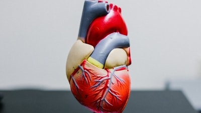 Researchers uncover mechanism behind SK2 channel regulation in AFib. (Unsplash) Researchers uncover mechanism behind SK2 channel regulation in AFib. (Unsplash)