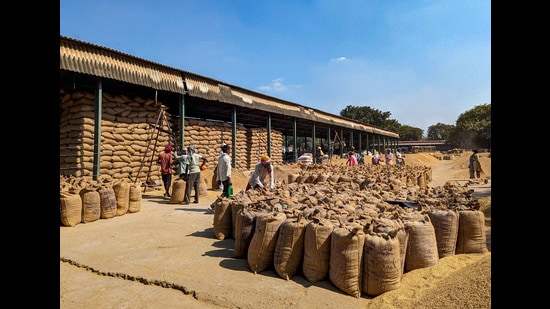 FILE PHOTO: Workers weigh and pack paddy bags at Sitapur market, in the northern state of Uttar Pradesh, India October 20, 2023. REUTERS/Rajendra Jadhav/File Photo (REUTERS)