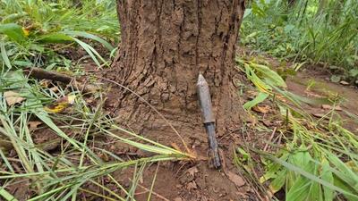 A live ammunition at the site of the encounter in Chhattisgarh. (HT Photo)