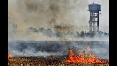 Amritsar usually takes a lead in the farm fire incidents due to farmers cultivating vegetables before shifting to wheat. (HT File) Amritsar usually takes a lead in the farm fire incidents due to farmers cultivating vegetables before shifting to wheat. (HT File)