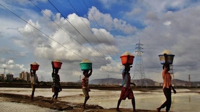 A salt pan in Mulund (Praful Gangurde)
