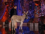 Salman Khan with the donkey on the sets of Bigg Boss 18