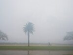 A jogger trots as rain falls ahead of the arrival of Hurricane Milton, Wednesday, Oct. 9, 2024, in Tampa, Fla. (AP Photo/Julio Cortez)