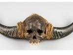 The Naga skull, which features attached animal horns, was described as particularly appealing to collectors interested in anthropology and tribal cultures. The Naga skull, which features attached animal horns, was described as particularly appealing to collectors interested in anthropology and tribal cultures.