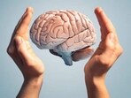 The brain clears out the waste that can build up and lead to Alzheimer’s disease.