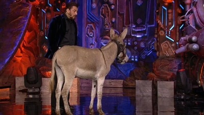 Salman Khan with the donkey on the sets of Bigg Boss 18 Salman Khan with the donkey on the sets of Bigg Boss 18