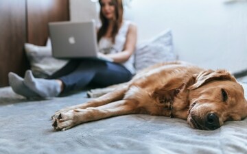 A post on a boss’ gesture towards an employee is winning hearts. (Unsplash/BRUNO CERVERA) A post on a boss’ gesture towards an employee is winning hearts. (Unsplash/BRUNO CERVERA)