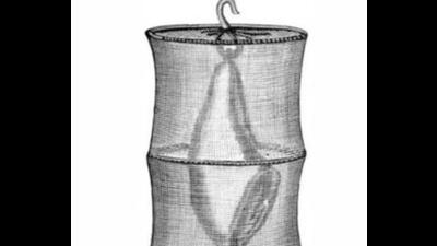 Portable meat safe. (WIKIMEDIA) Portable meat safe. (WIKIMEDIA)