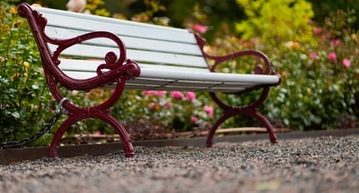 Transform your outdoor space with the best garden benches, perfect for relaxation and enjoying nature! (Pexels) Transform your outdoor space with the best garden benches, perfect for relaxation and enjoying nature! (Pexels)