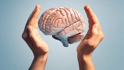 The brain clears out the waste that can build up and lead to Alzheimer’s disease. (Unsplash) The brain clears out the waste that can build up and lead to Alzheimer’s disease. (Unsplash)