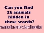 A brain teaser challenged users to find 13 hidden animal names in a string of letters.







