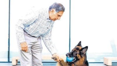 Small Animal Hospital in Mumbai was Ratan Tata’s last project close to his heart Small Animal Hospital in Mumbai was Ratan Tata’s last project close to his heart
