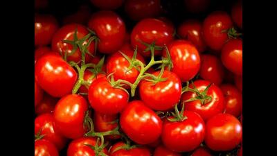 Komal Sharma, in-charge of apni mandis for Punjab Mandi Board, said due to erratic supply from hills during monsoon, increased transportation and logistics costs, tomatoes are currently being sold for ₹80 per kg at Chandigarh’s apni mandis, with prices even fluctuating to ₹100 per kg. (HT Photo) Komal Sharma, in-charge of apni mandis for Punjab Mandi Board, said due to erratic supply from hills during monsoon, increased transportation and logistics costs, tomatoes are currently being sold for ₹80 per kg at Chandigarh’s apni mandis, with prices even fluctuating to ₹100 per kg. (HT Photo)