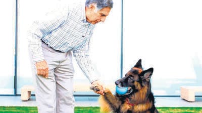 Ratan Tata playing with one of his dogs. (Ratan Tata - Instagram) Ratan Tata playing with one of his dogs. (Ratan Tata - Instagram)
