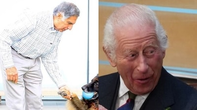 Ratan Tata's dedication to animal welfare was evident in his personal life and philanthropy. His final project, the Small Animal Hospital Mumbai, aimed to provide critical care for animals, reflecting his compassion and commitment to their well-being.