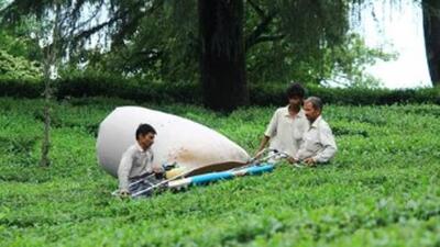 The Kangra tea is grown 900-1,400 m above sea level on the slopes of Dhauladhar range. (File Photo) The Kangra tea is grown 900-1,400 m above sea level on the slopes of Dhauladhar range. (File Photo)
