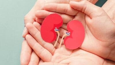 This is the 33rd transplant performed at the hospital, since the inception of the organ transplant programme, officials said. (REPRESENTATIVE PHOTO) This is the 33rd transplant performed at the hospital, since the inception of the organ transplant programme, officials said. (REPRESENTATIVE PHOTO)