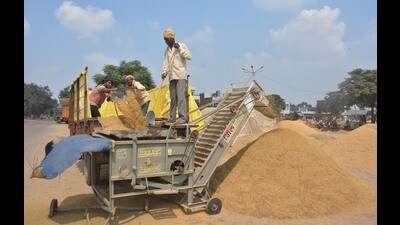 Workers dry paddy crop at Bhagtanwala Grain Market in Amritsar on Tuesday. (Sameer Sehgal/HT)