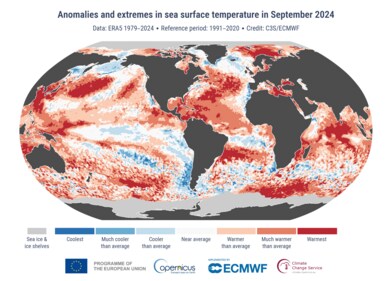 Anomalies and extremes in sea surface temperature in September 2024 (C3S/ECMWF) Anomalies and extremes in sea surface temperature in September 2024 (C3S/ECMWF)