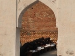 A madrasa located in Kotla village district Nuh, Mewat. (HT) A madrasa located in Kotla village district Nuh, Mewat. (HT)