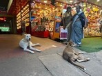 Visitors come from within and outside Kerala to offer prayers at the temple.