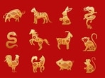 Read your weekly Chinese horoscope from October 14-20 based on your Chinese zodiac sign.