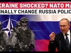 Putin Victory? Big Divide In NATO Over Russia Policy, Military Bloc May Change Strategy |Ukraine War Putin Victory? Big Divide In NATO Over Russia Policy, Military Bloc May Change Strategy |Ukraine War