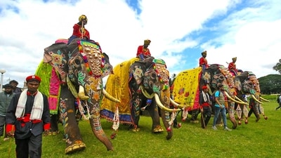 The Dasara procession is held on "Vijayadashami" day, signifying the victory of good over evil. (x/@airnewsalerts)