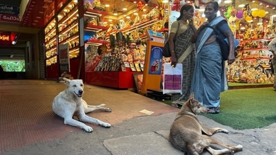Visitors come from within and outside Kerala to offer prayers at the temple. Visitors come from within and outside Kerala to offer prayers at the temple.