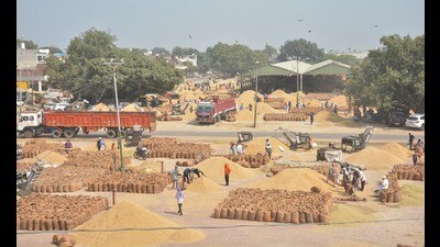 Workers dry paddy crop at Bhagtanwala Grain Market in Amritsar. (Sameer Sehgal/HT) Workers dry paddy crop at Bhagtanwala Grain Market in Amritsar. (Sameer Sehgal/HT)
