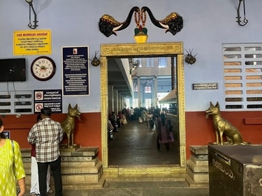 Dogs are considered sacred at the the Parassini Madappura Sree Muthappan Temple in Kannur district of Kerala. Dogs are considered sacred at the the Parassini Madappura Sree Muthappan Temple in Kannur district of Kerala.